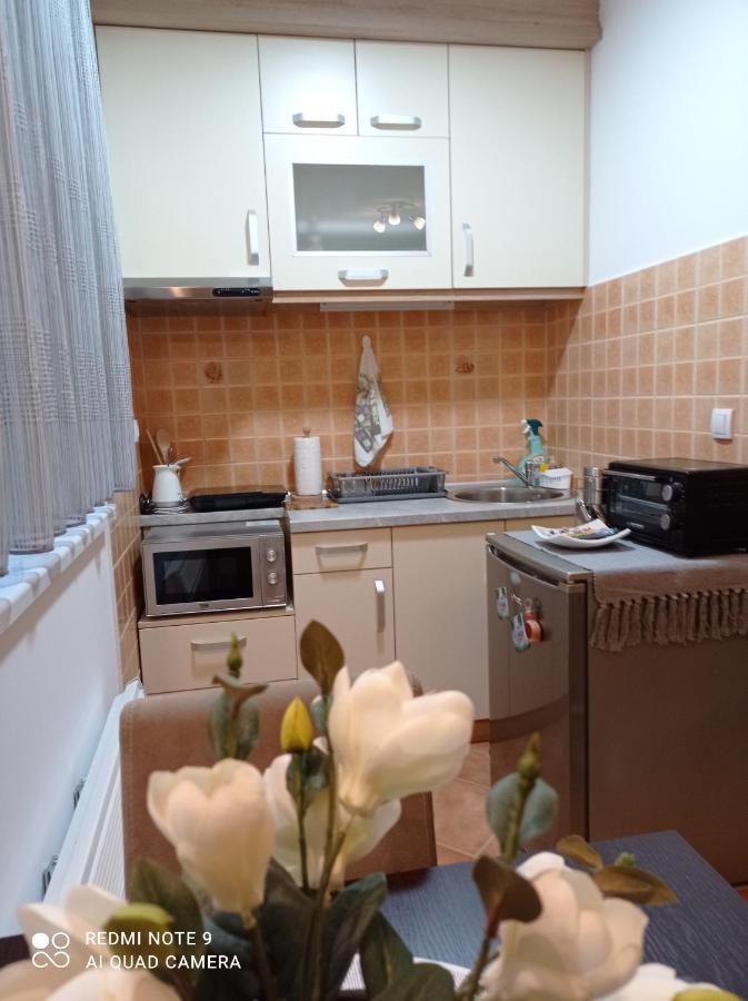 Apartman Harmonija Vrnjačka Banja Kültér fotó