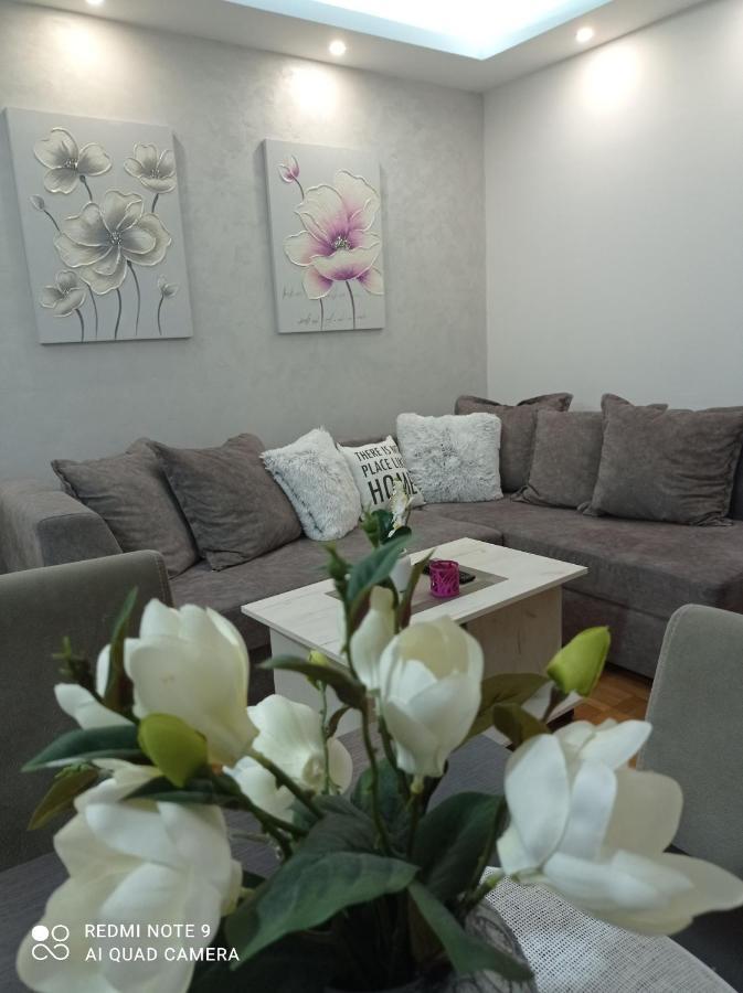 Apartman Harmonija Vrnjačka Banja Kültér fotó
