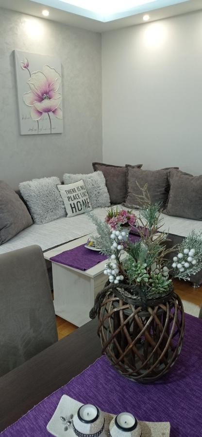 Apartman Harmonija Vrnjačka Banja Kültér fotó