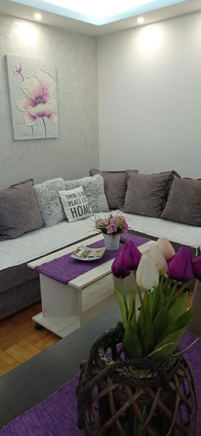 Apartman Harmonija Vrnjačka Banja Kültér fotó