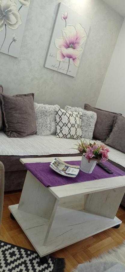 Apartman Harmonija Vrnjačka Banja Kültér fotó