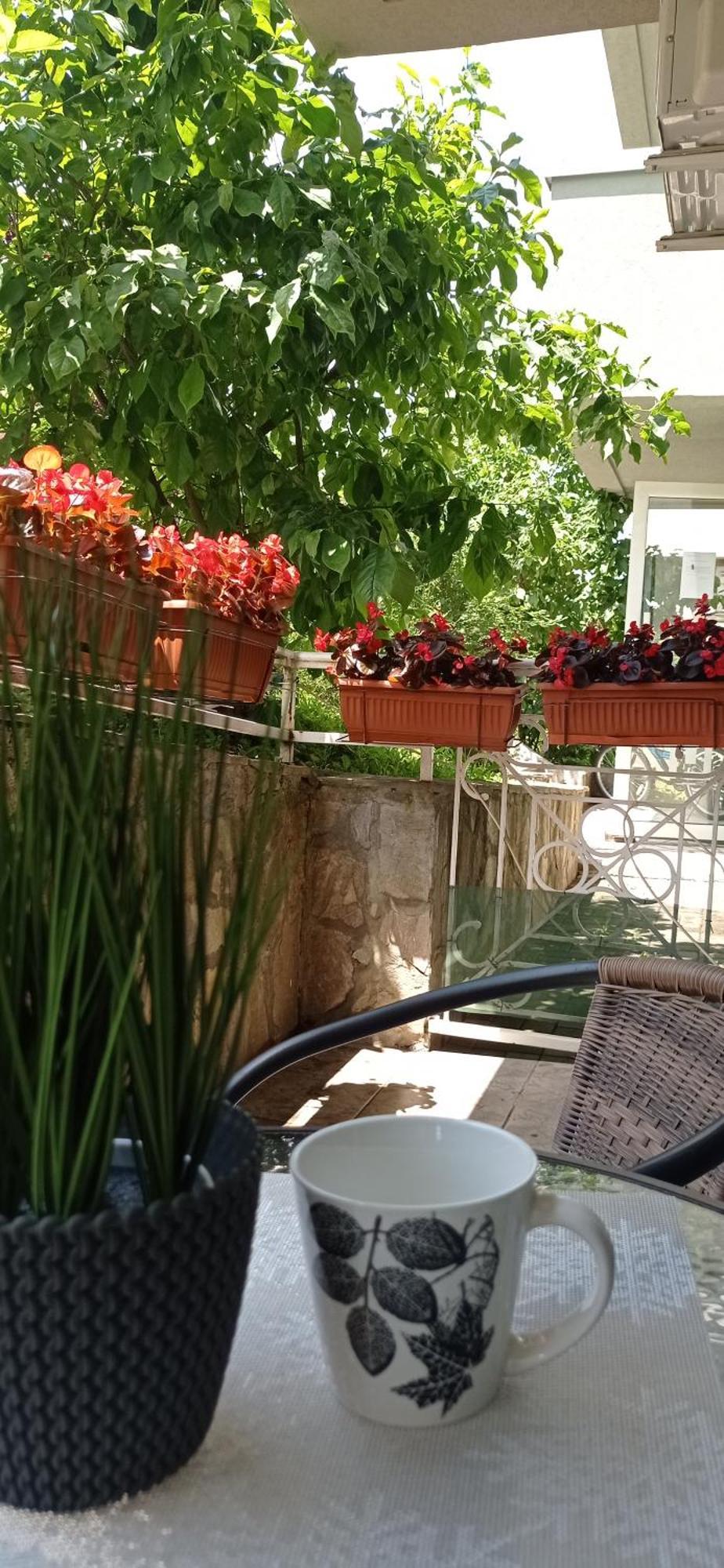 Apartman Harmonija Vrnjačka Banja Kültér fotó
